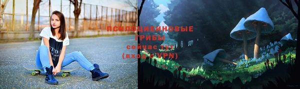 спиды Елизово