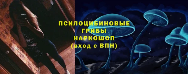 спиды Елизово