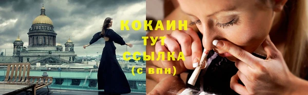 спиды Елизово