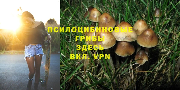 прущая мука Елабуга