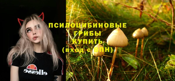 метадон Ельня