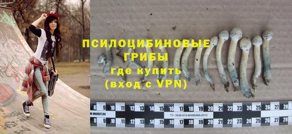 бошки Дмитров