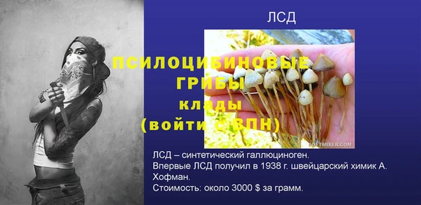 бошки Болотное