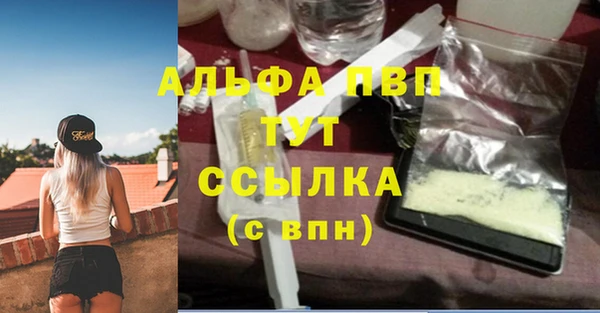 спиды Елизово