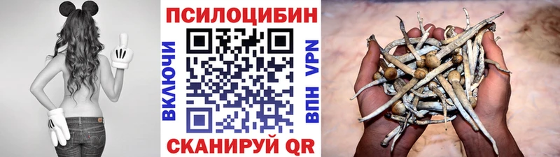купить наркотики цена  Заречный  Псилоцибиновые грибы мухоморы 